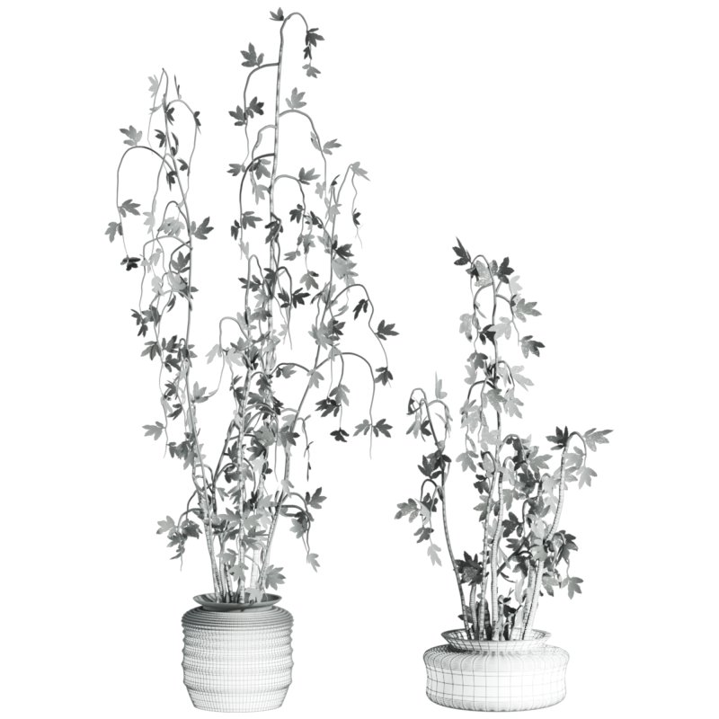 Plants Set - Image 4