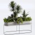 : Indoor plants-plants in box set174 - Thumbnail 5