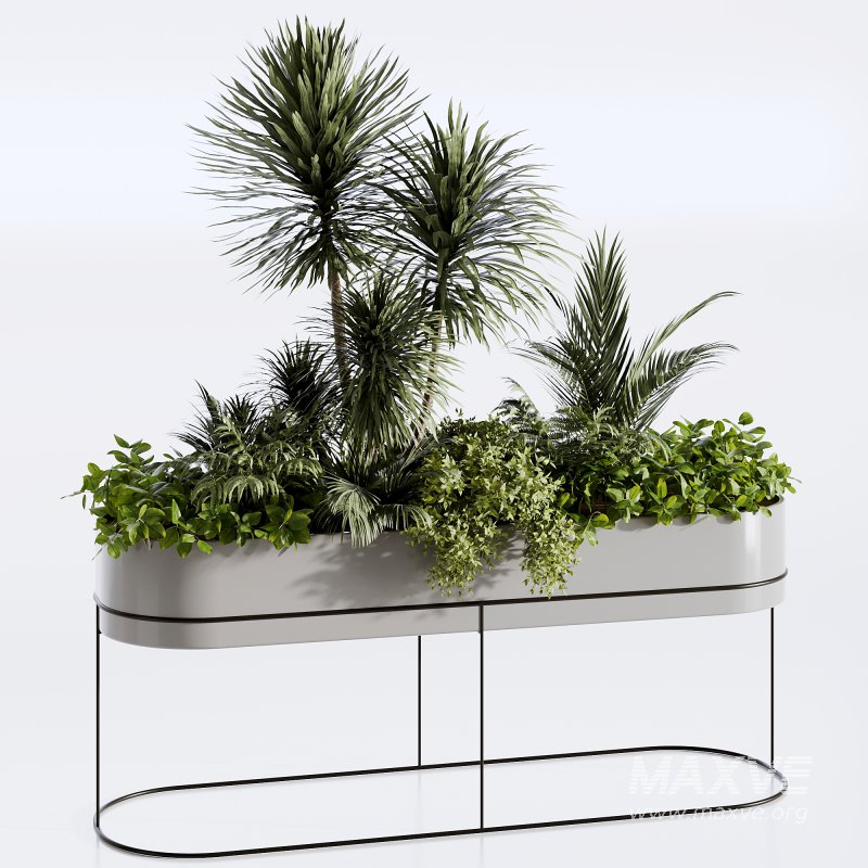 : Indoor plants-plants in box set174 - Image 5