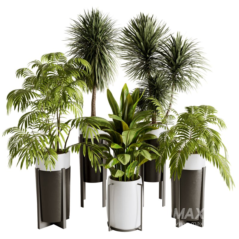 Indoor plants set173 - Image 4