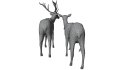 Deer Family - Thumbnail 16