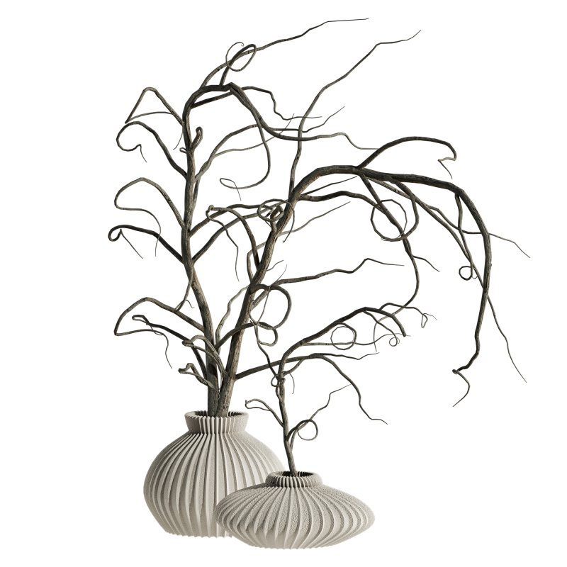 dry bouquet set - Image 2