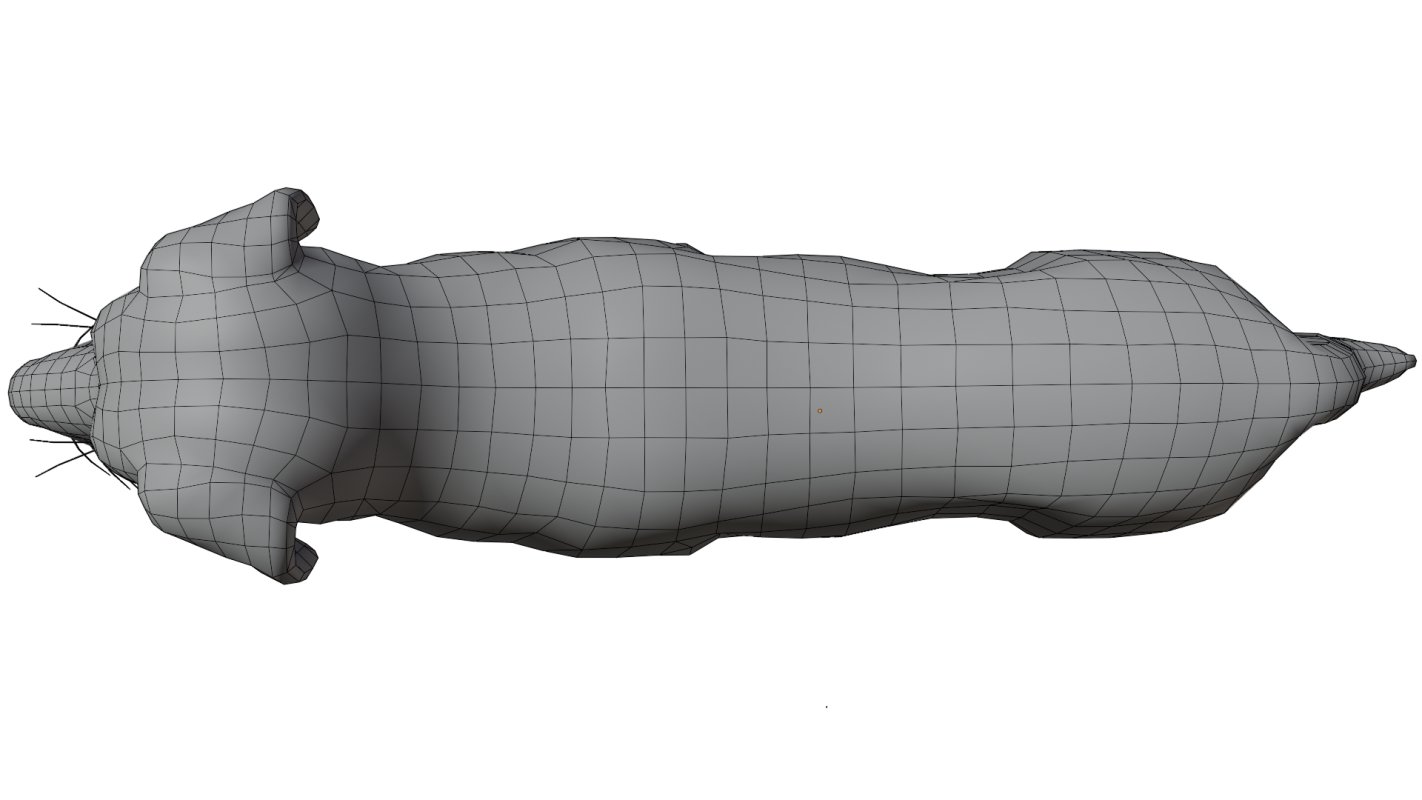 Golden Retriever - Image 18