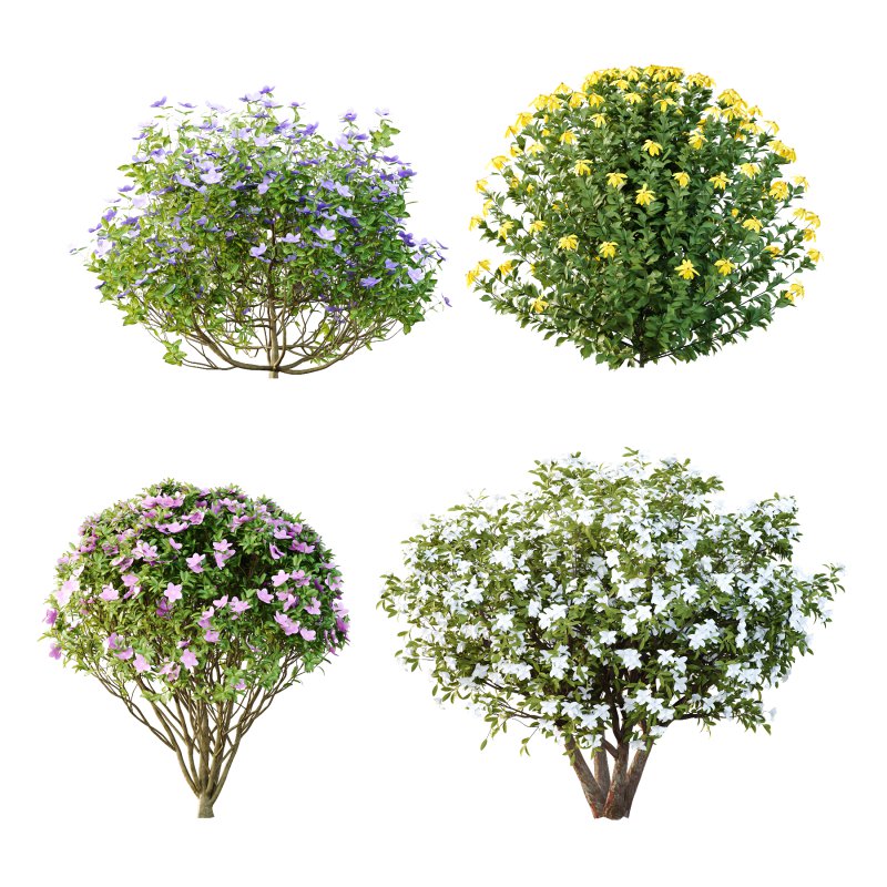 Different bush 03 - Image 2