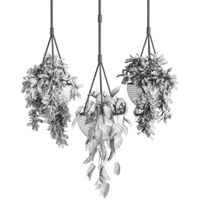 hanging plants - Image 6