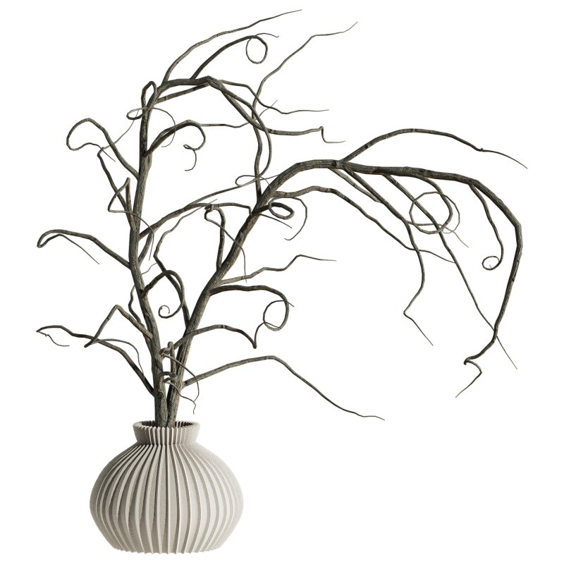 dry bouquet set - Image 3