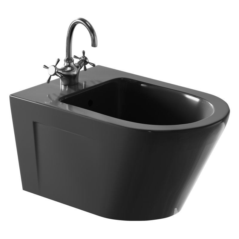 Bidet Norm - Image 2