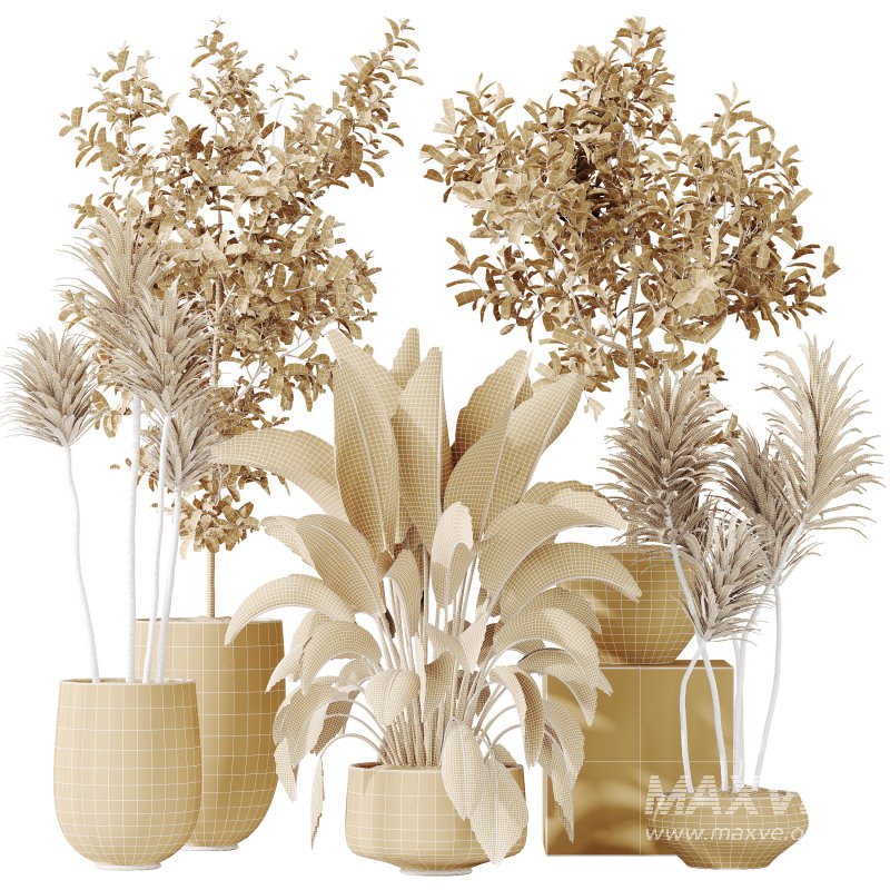 AV Indoor plants set 203 Yucca Aloifolia Rostrata Palm and Olive Eucalyptus and Banana Strelitzia Nicolai and Briful Pachira Aquatica - Image 7