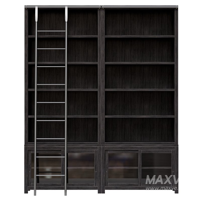 Admont Double Bookcase With Ladder - Image 2