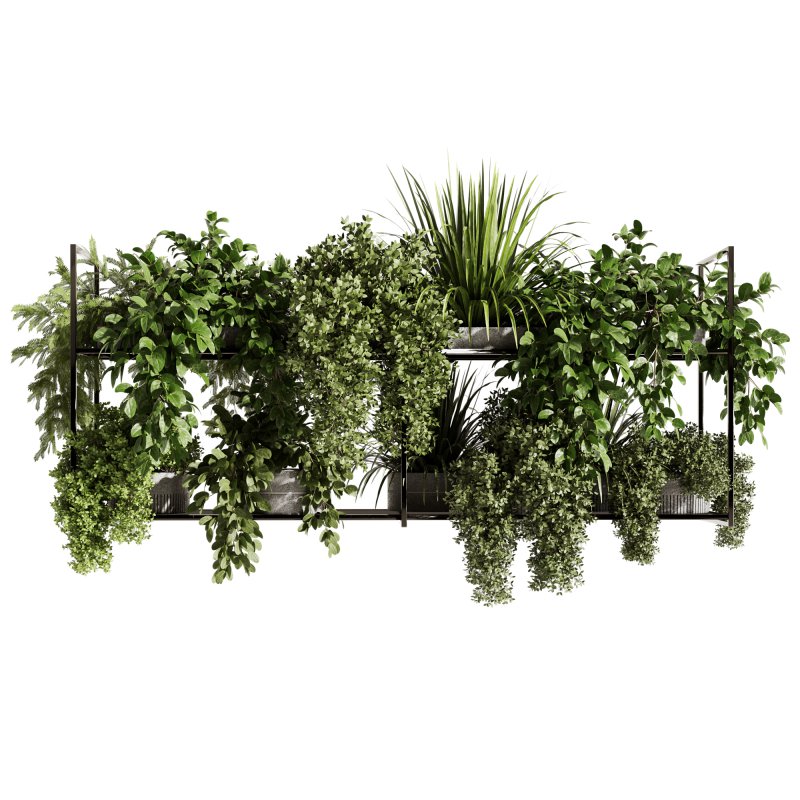 Indoorplants-Hanging plants set-92 - Image 1