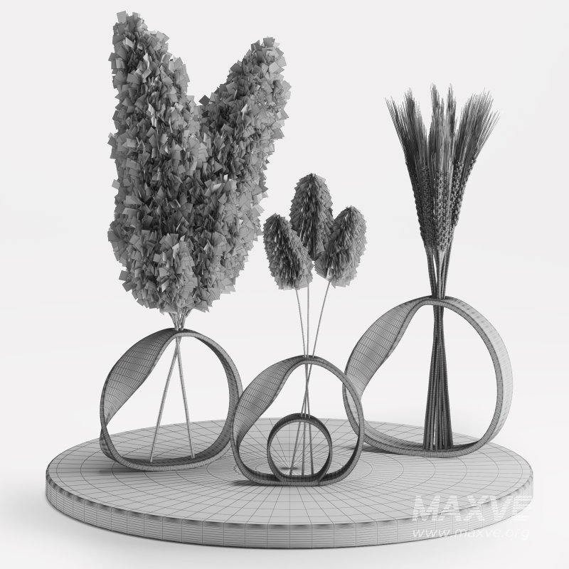 Indoor Bouquet Pampas Bunny tail Wheat - Image 5