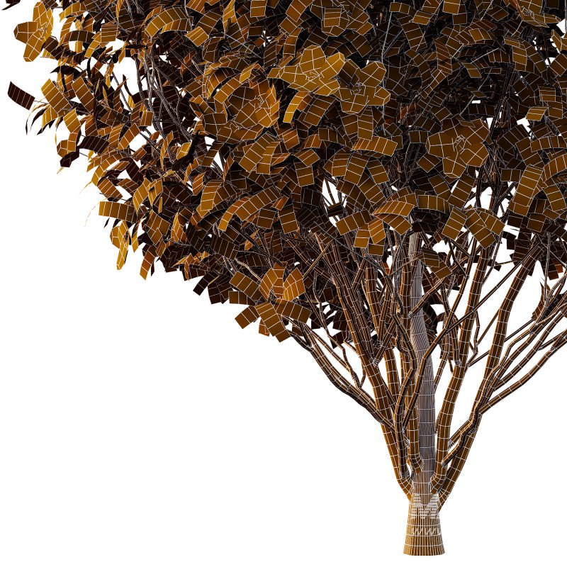 Different bush 04 - Image 6