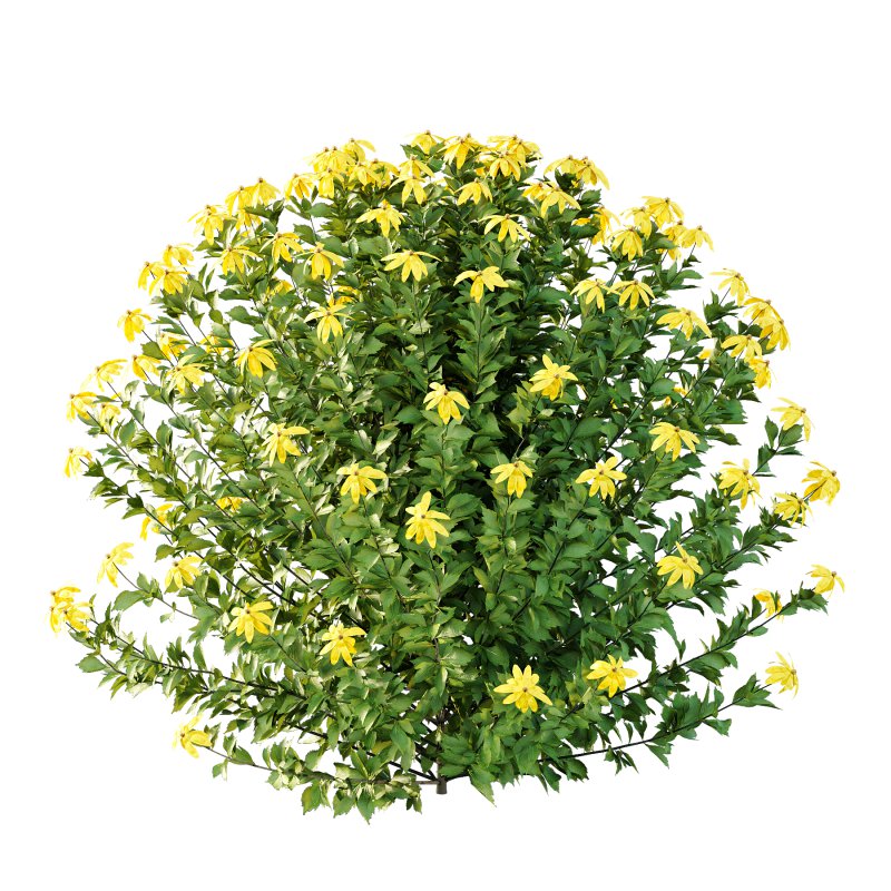 Different bush 03 - Image 4