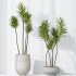 AV Indoor plants set 203 Yucca Aloifolia Rostrata Palm and Olive Eucalyptus and Banana Strelitzia Nicolai and Briful Pachira Aquatica - Thumbnail 6
