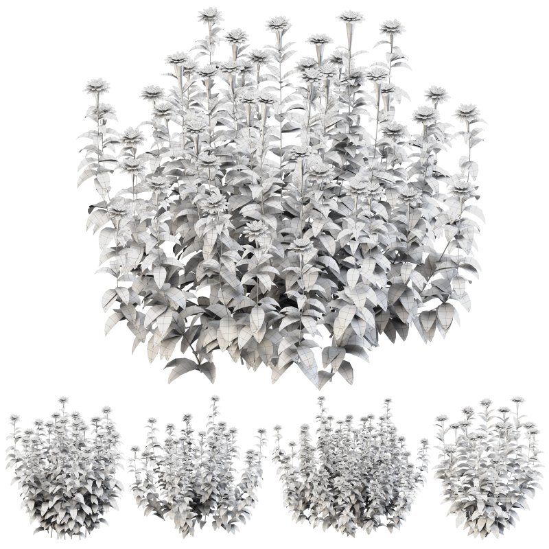 Purple blossom bush - Image 5