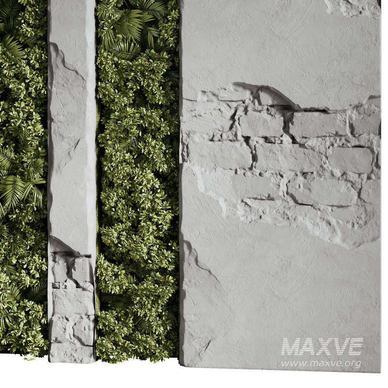 Wall with plant 08 - Image 1