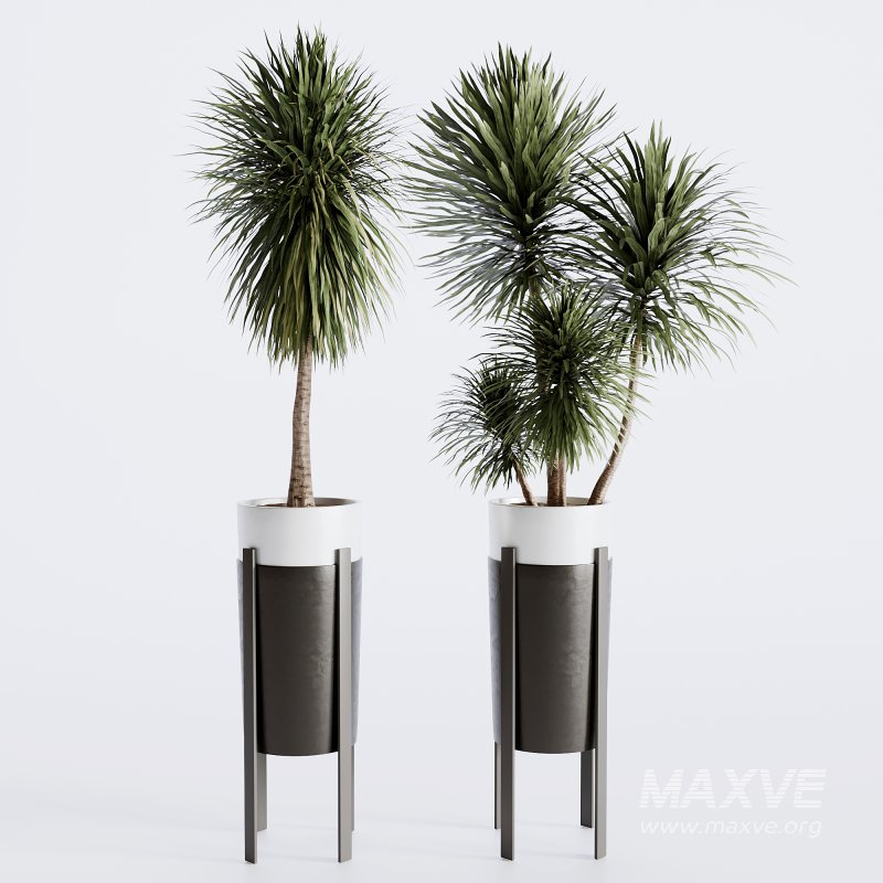 Indoor plants set173 - Image 6