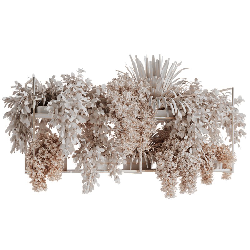 Indoorplants-Hanging plants set-92 - Image 2