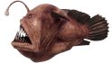 Angler Fish - Thumbnail 2