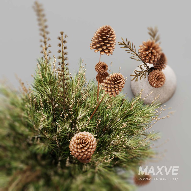 Pine branches in a rustic vase - Image 4