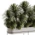 Indoor plants-Plants in Box- set175 - Thumbnail 4