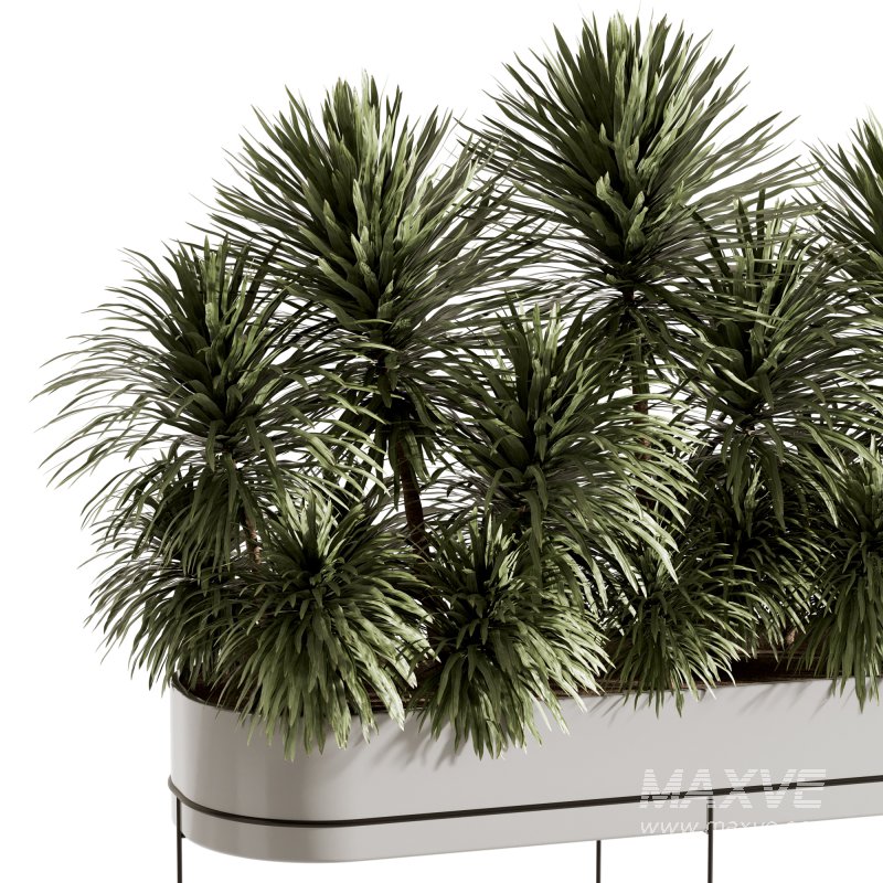 Indoor plants-Plants in Box- set175 - Image 4