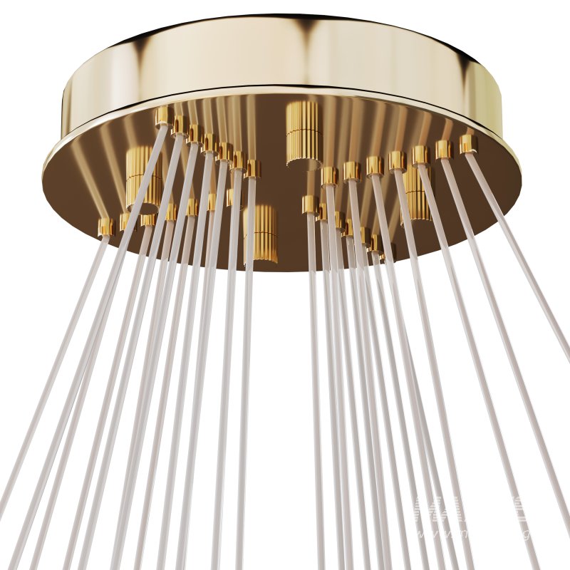 BERTOLDA COMBO - Image 6