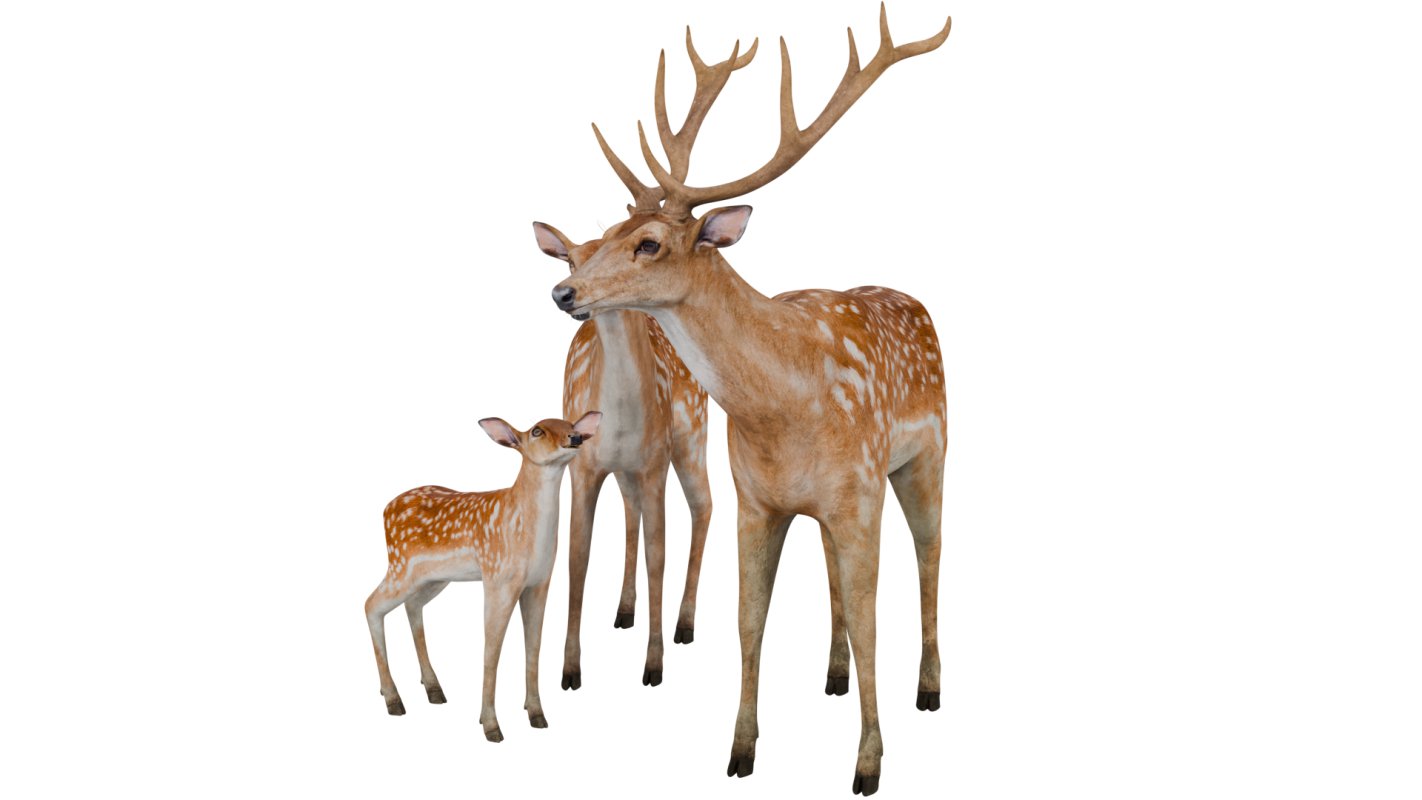 Deer Family - Image 2