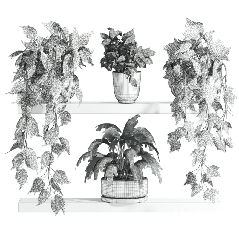 plants set on shelf - Image 4