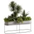 : Indoor plants-plants in box set174 - Thumbnail 4