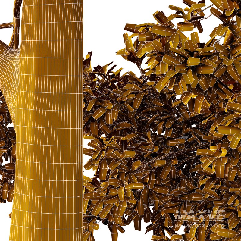 Spanish Moss Tree 05 - Image 2