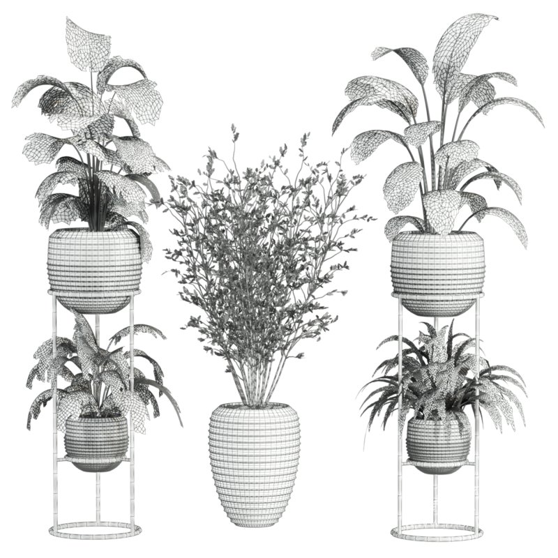 plants set - Image 7