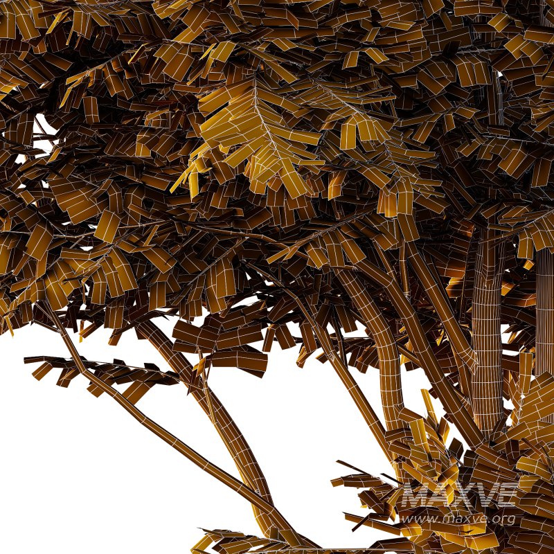 fraxinus excelsior Tree001 - Image 4