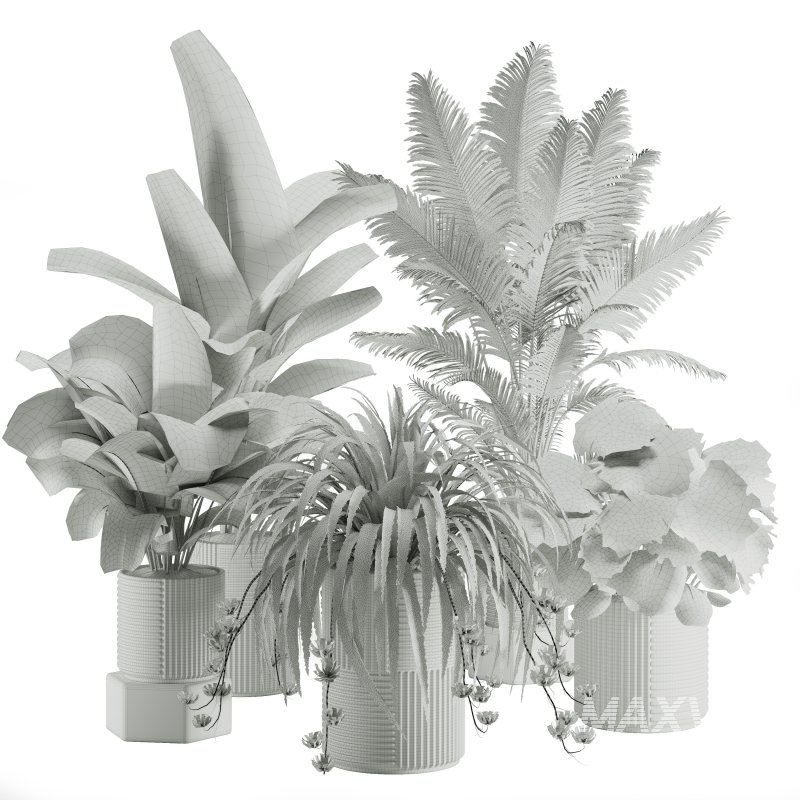 Indoor Plant Tropical Set01 - Image 4