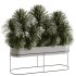 Indoor plants-Plants in Box- set175 - Thumbnail 3