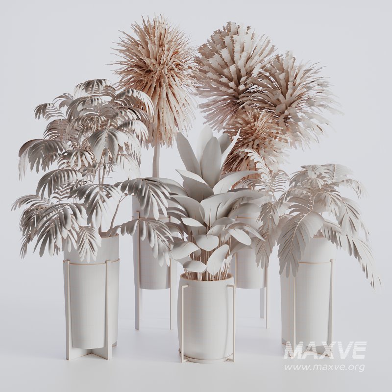 Indoor plants set173 - Image 7