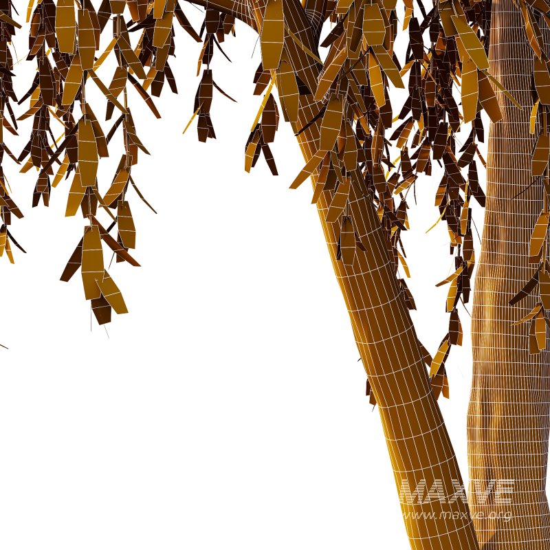 Weeping Willow Tree 01 - Image 3