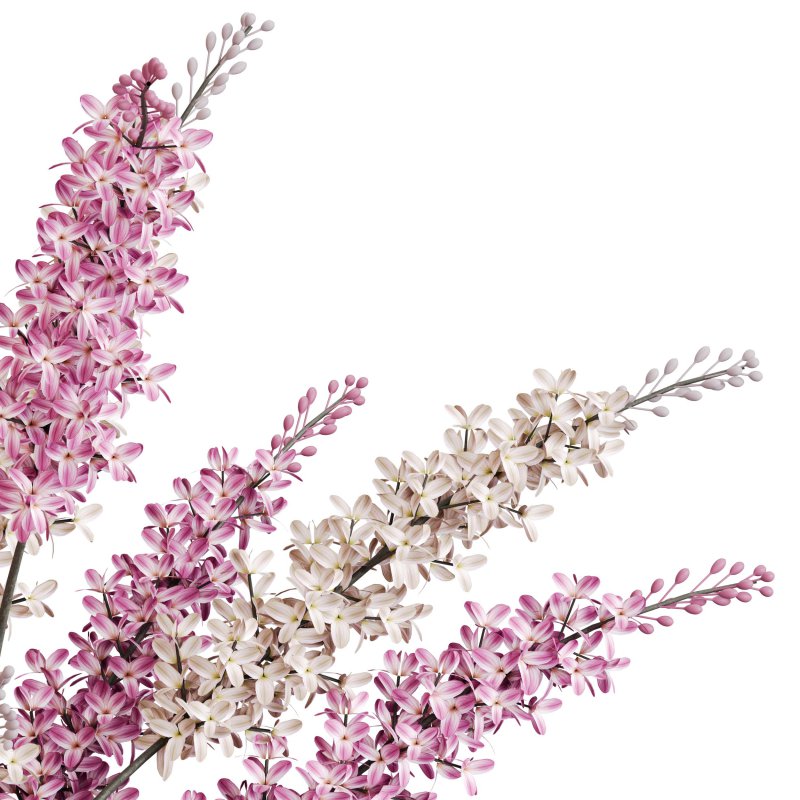 Lilac bloom harmony - Image 2