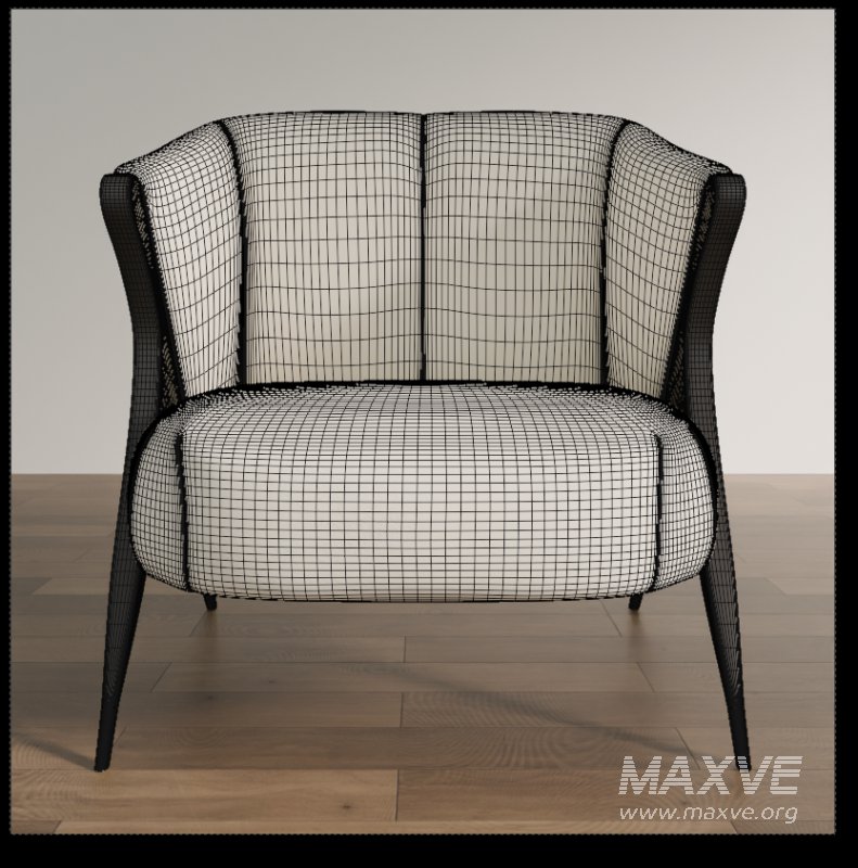 Designer Lounge Chair - Image 5
