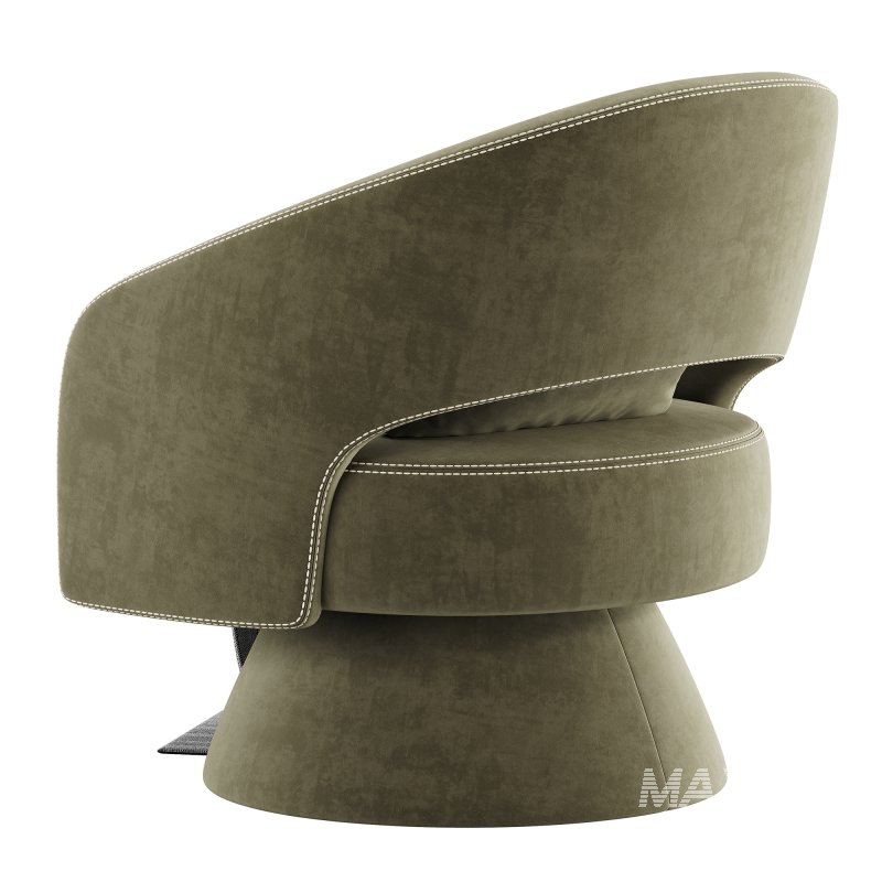 Bhupendra Swivel Accent Chair - Image 5