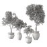 Olive Tree Indoor Set.1 - Thumbnail 4