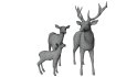 Deer Family - Thumbnail 11