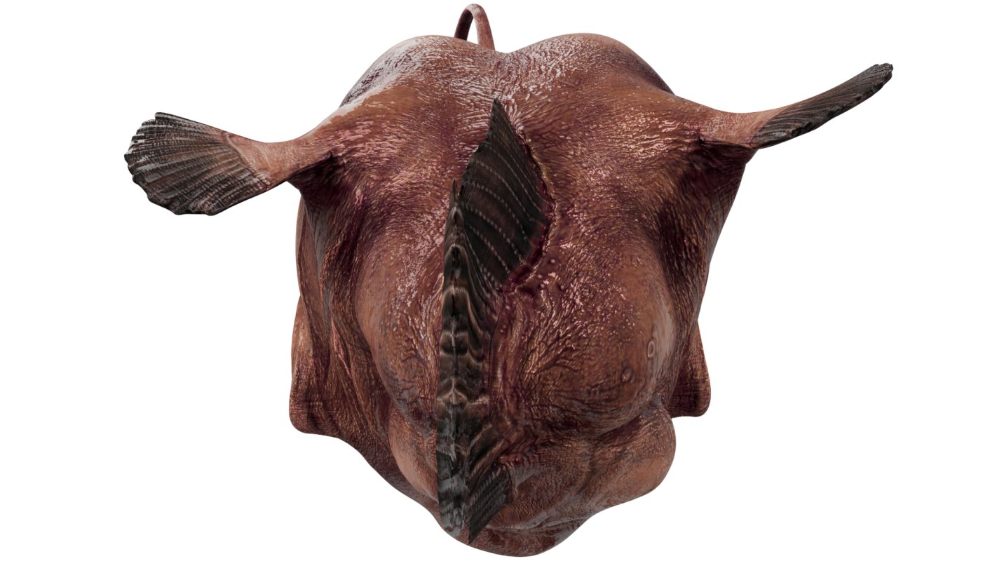 Angler Fish - Image 3