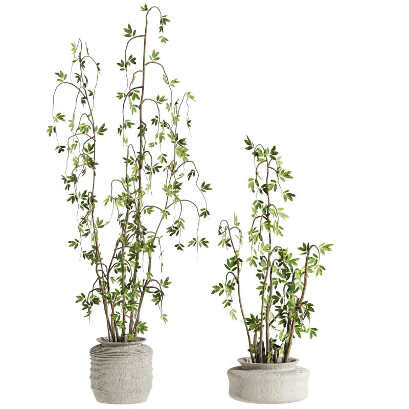 Plants Set - Image 1