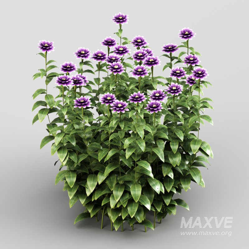 Purple blossom bush - Image 1