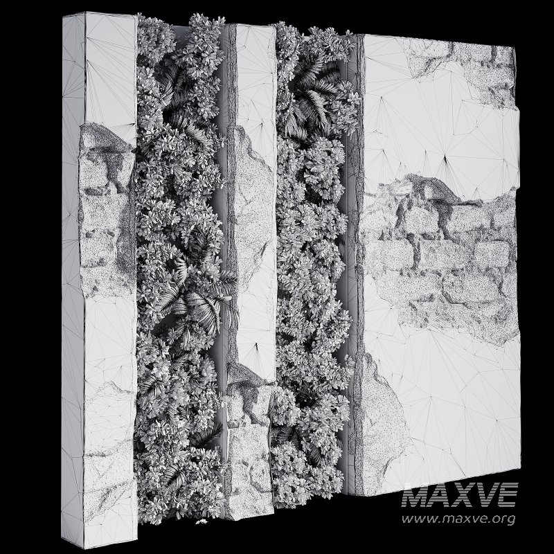 Wall with plant 08 - Image 5