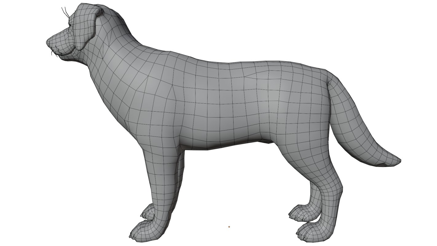 Golden Retriever - Image 11