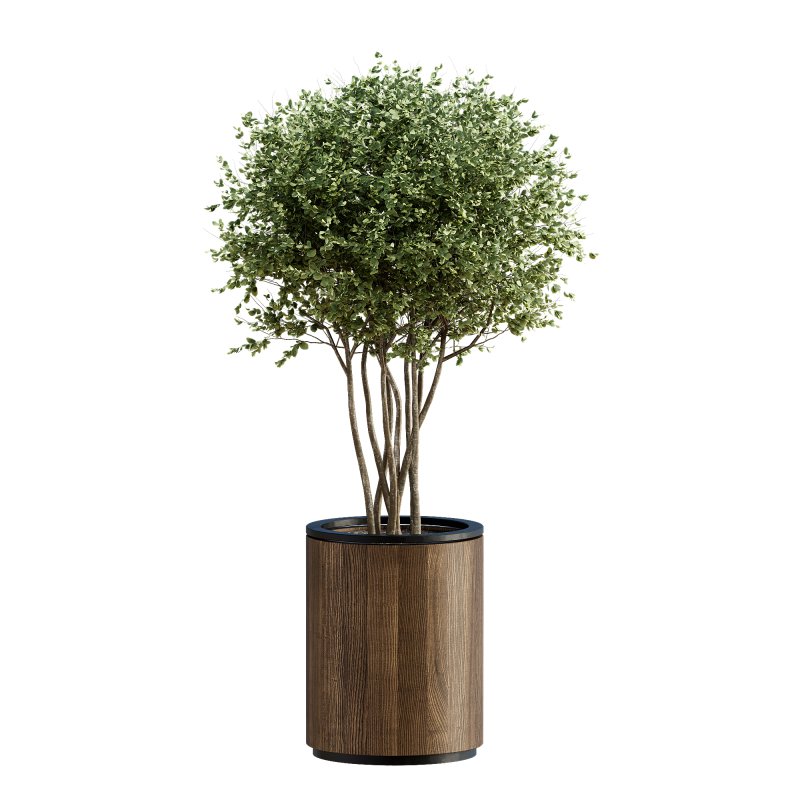 13 High Quality 3D Pot plants - Image 7