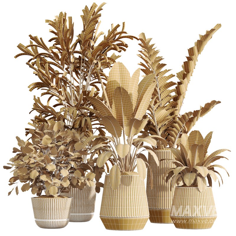 AV Indoor Plants Set 225 Eucalyptus Bouquet and Areca Palm and Ficus Elastica and Zamiifolia - Image 5