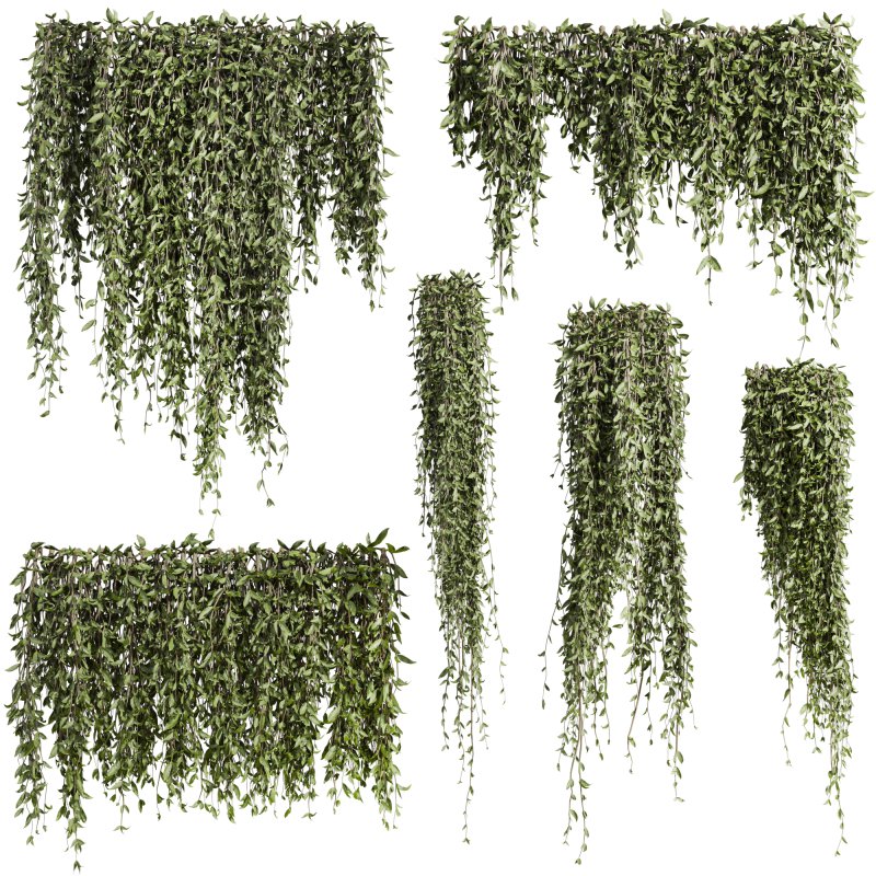 Plants_Set_167 - Image 2